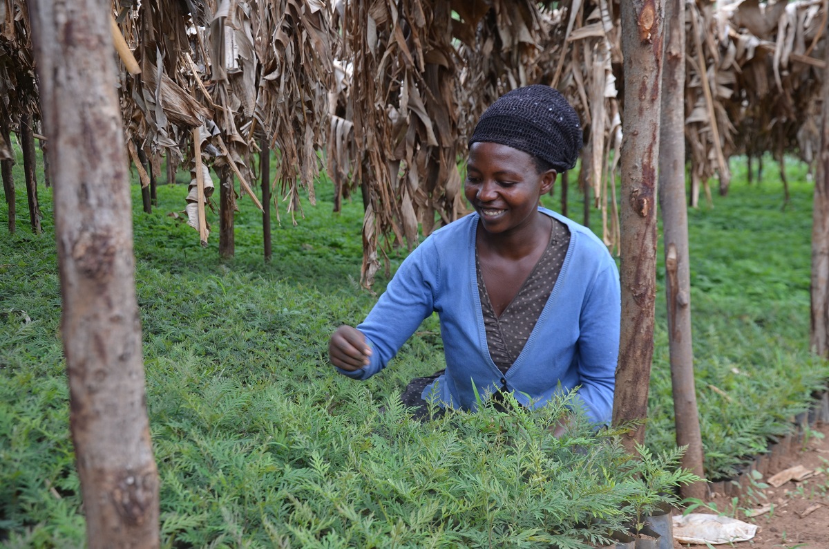 IUCN AREECA project