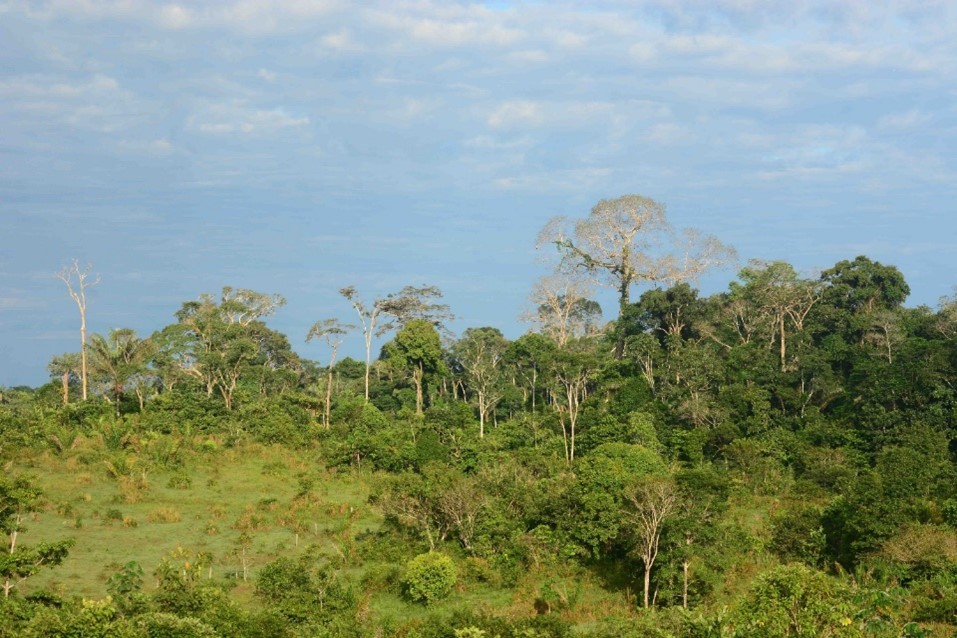 Provincia de Caquetá, Colombia