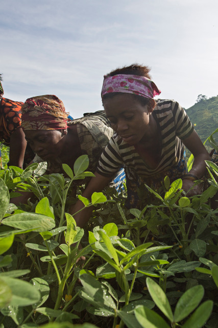 Pygmy women in the Itombwe Nature Reserve, Democratic Republic of Congo. 