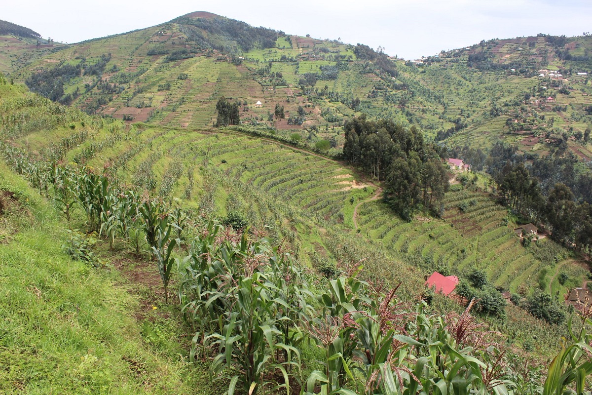 EWMR Project in Rwanda