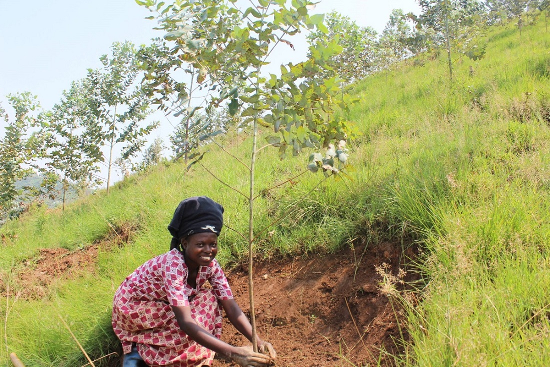 EWMR Project in Rwanda