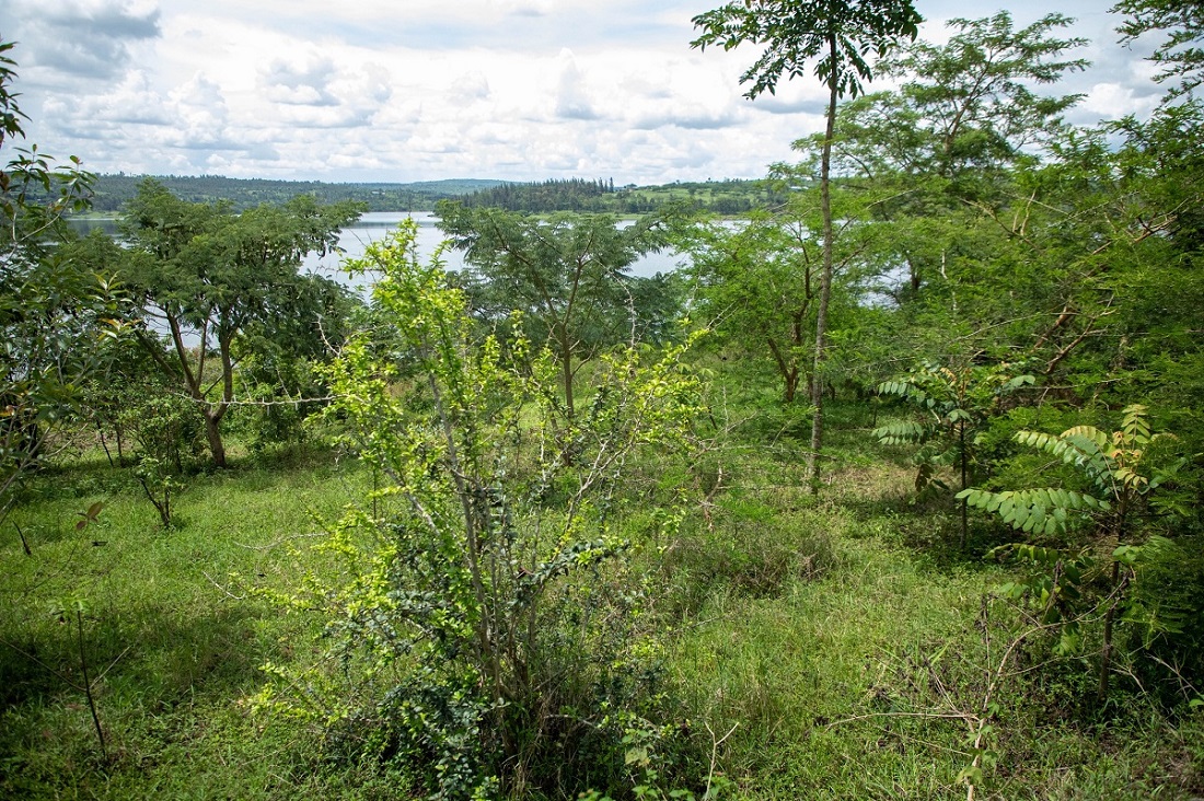 IUCN Members in Rwanda