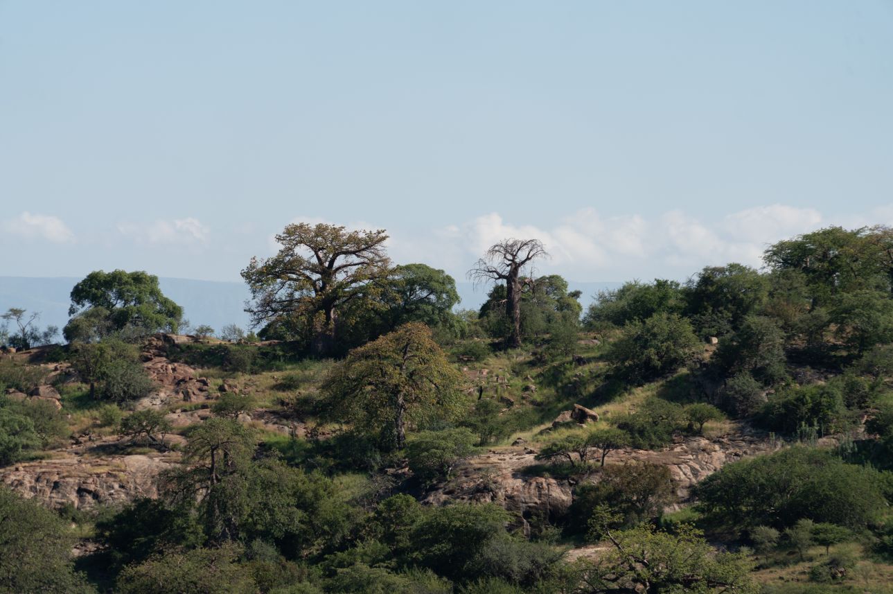 Tanzania