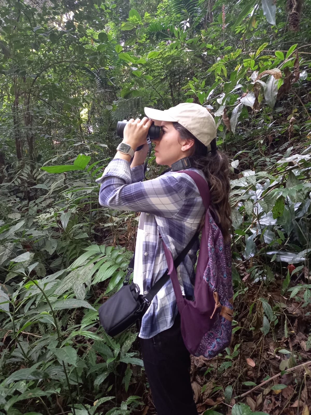 n las RNP coexisten la conservación de la biodiversidad y el desarrollo de actividades productivas sostenibles, como el ecoturismo