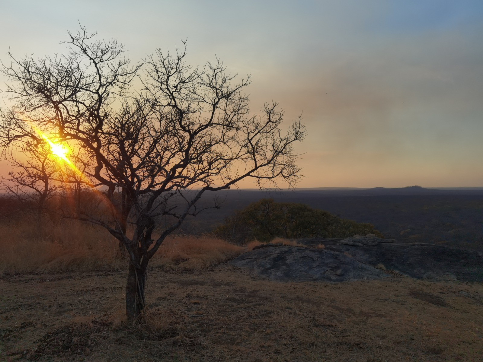 Sunrise over the Niassa Special Reserve Landscape