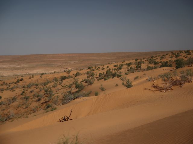Sand desert Bereketly-Garagum Zapovednik, Turkmenistan