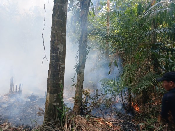 Incendio en Sierra Las Minas