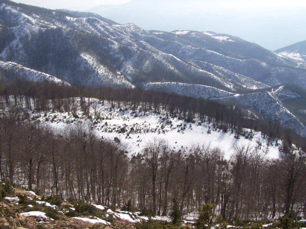 Shebenik-Jabllanicë National Park, Albania