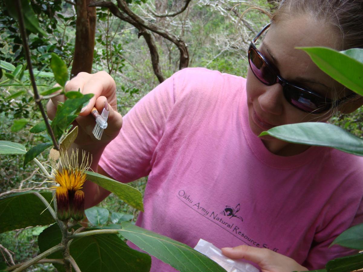 Dr Lauren Weisenberger: David Given Award for Excellence in Plant Conservation