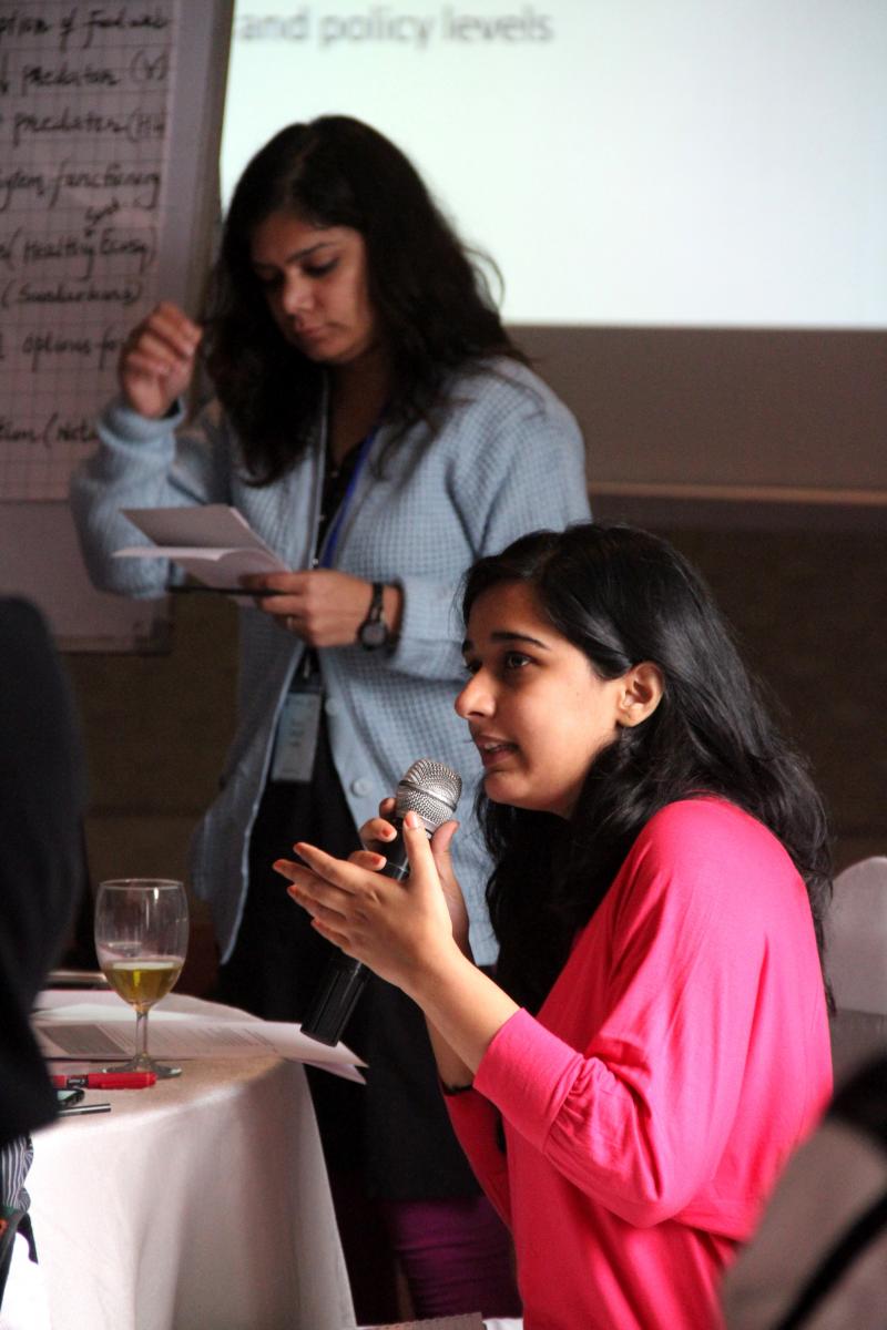 Participants participate in group discussions to explore the role of biodiversity and nature based solutions to DRR