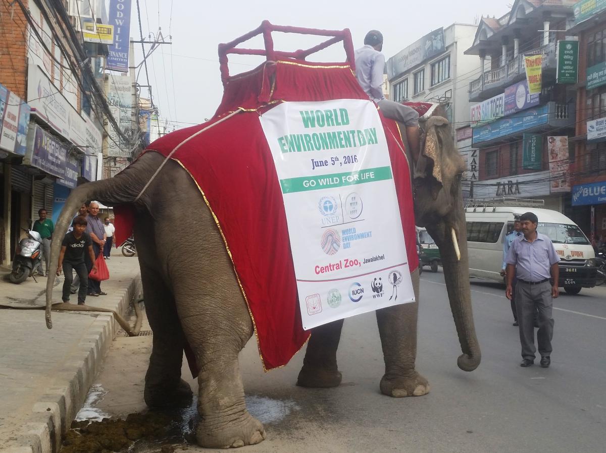 World Environment Day celebrations in Nepal 