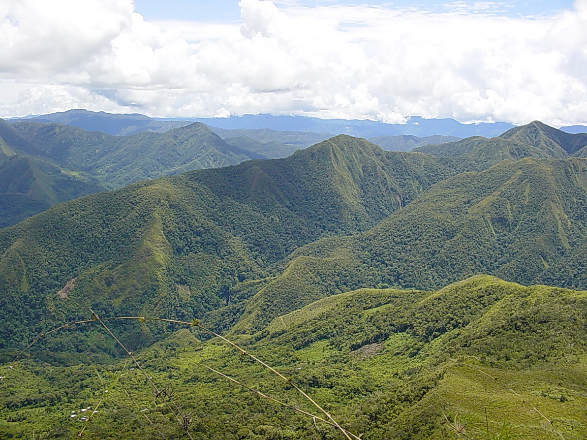 Reserva Nacional Tambopata Inambari, Perú. 