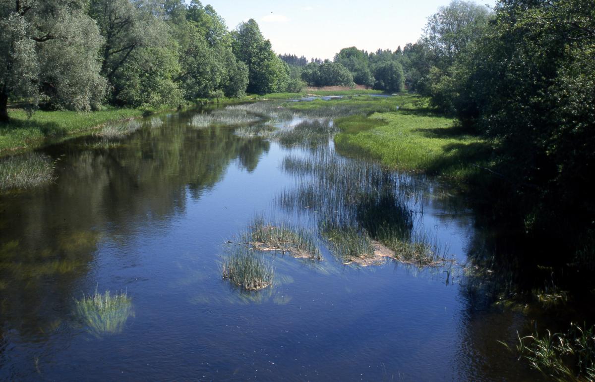 European Red List of Habitats