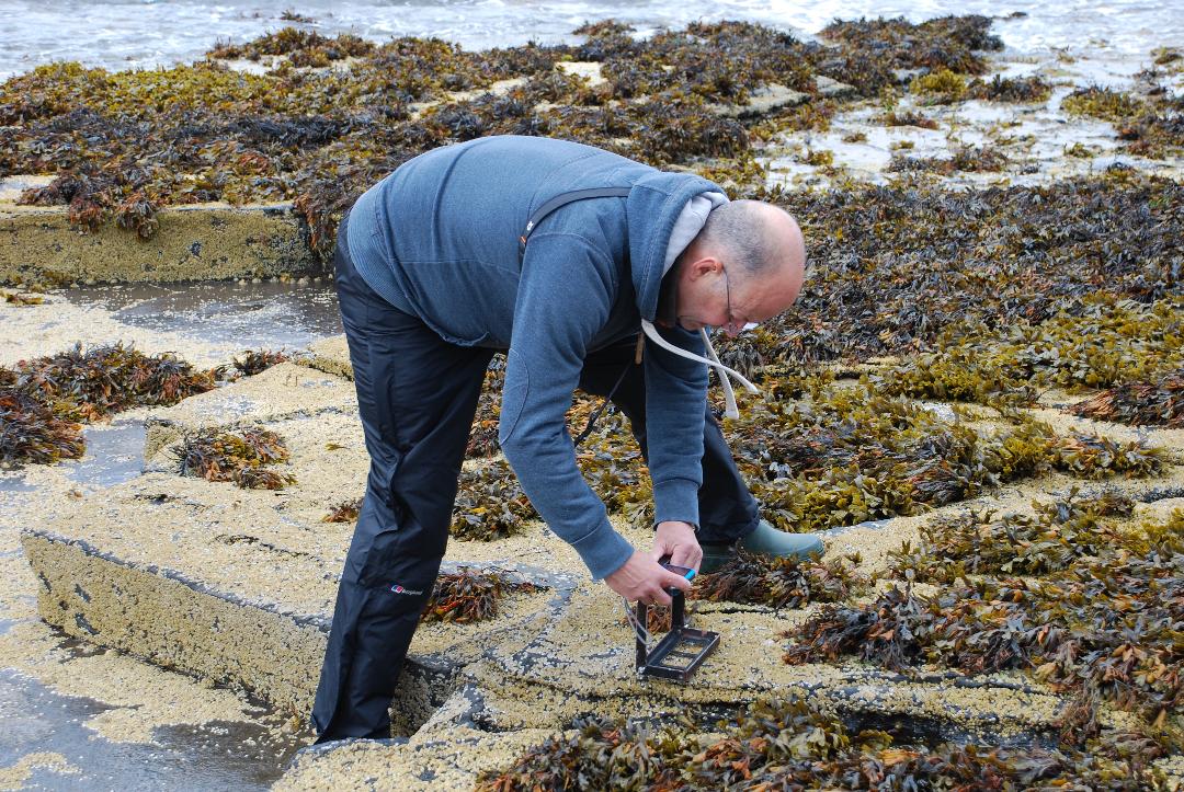 Dan taking photographic quadrats to monitoring climate change impacts on barnacle species in Orkney, UK