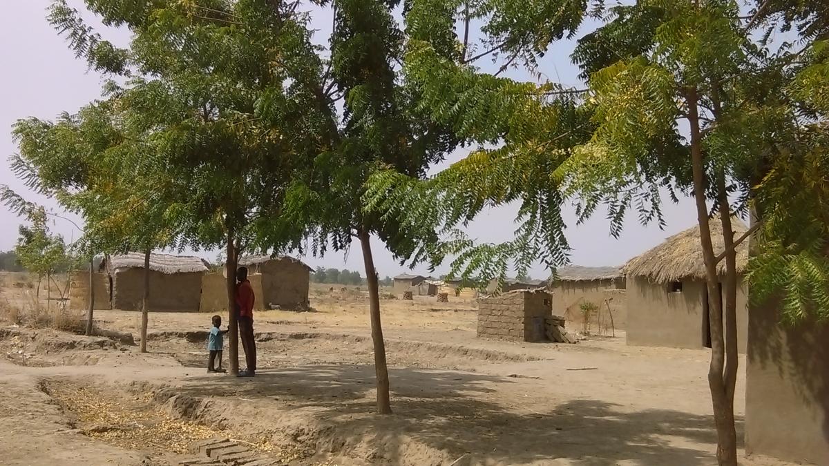 a few trees and two people with houses in back - dusty tan landscape