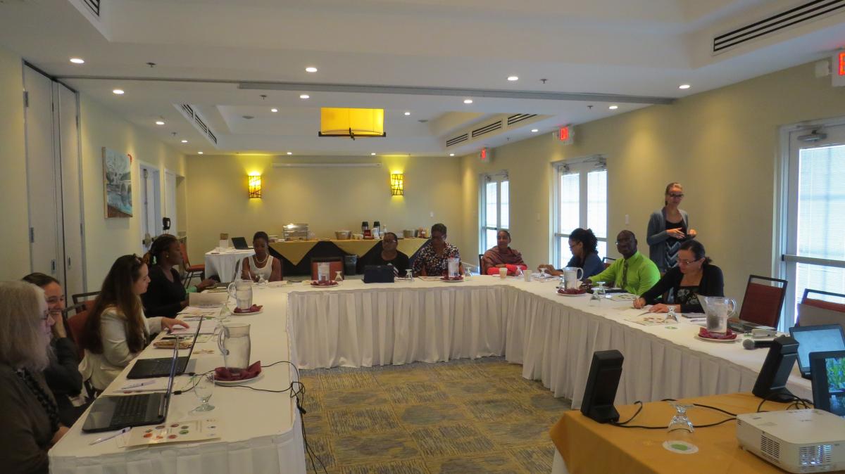 Presentations on bioprospecting in the Caribbean region as well as the development of legislation on ABS for the participating countries, were submitted during the third regional workshop 