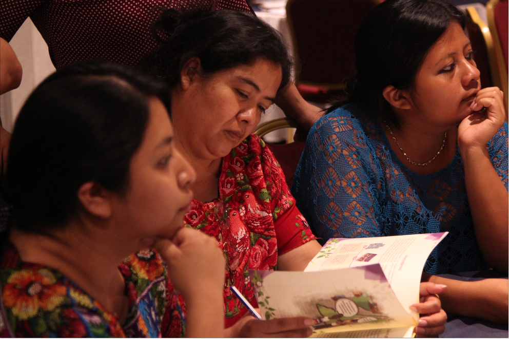  El contenido esencial de estos instrumentos consiste, precisamente, en la sistematización y mediación de las visiones, necesidades y anhelos de este grupo de mujeres que representan a comunidades diversas de Guatemala