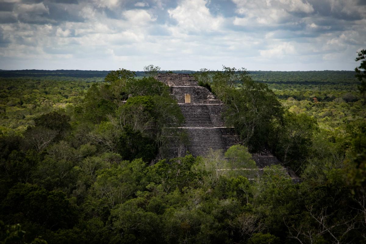 Reserva de la biosfera de Calakmul, Estado de Campeche, México