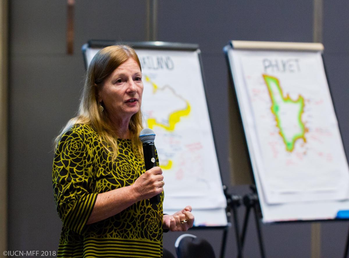 A woman gives a presentation in front of two easels with maps drawn on them