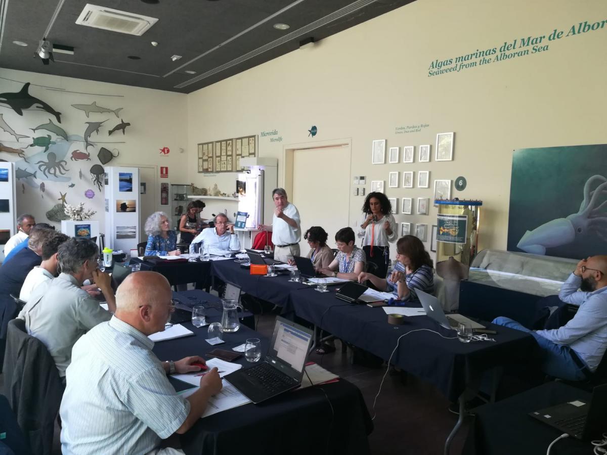 representantes de países e instituciones regionales mediterráneas en la reunión de MedWet en Málaga