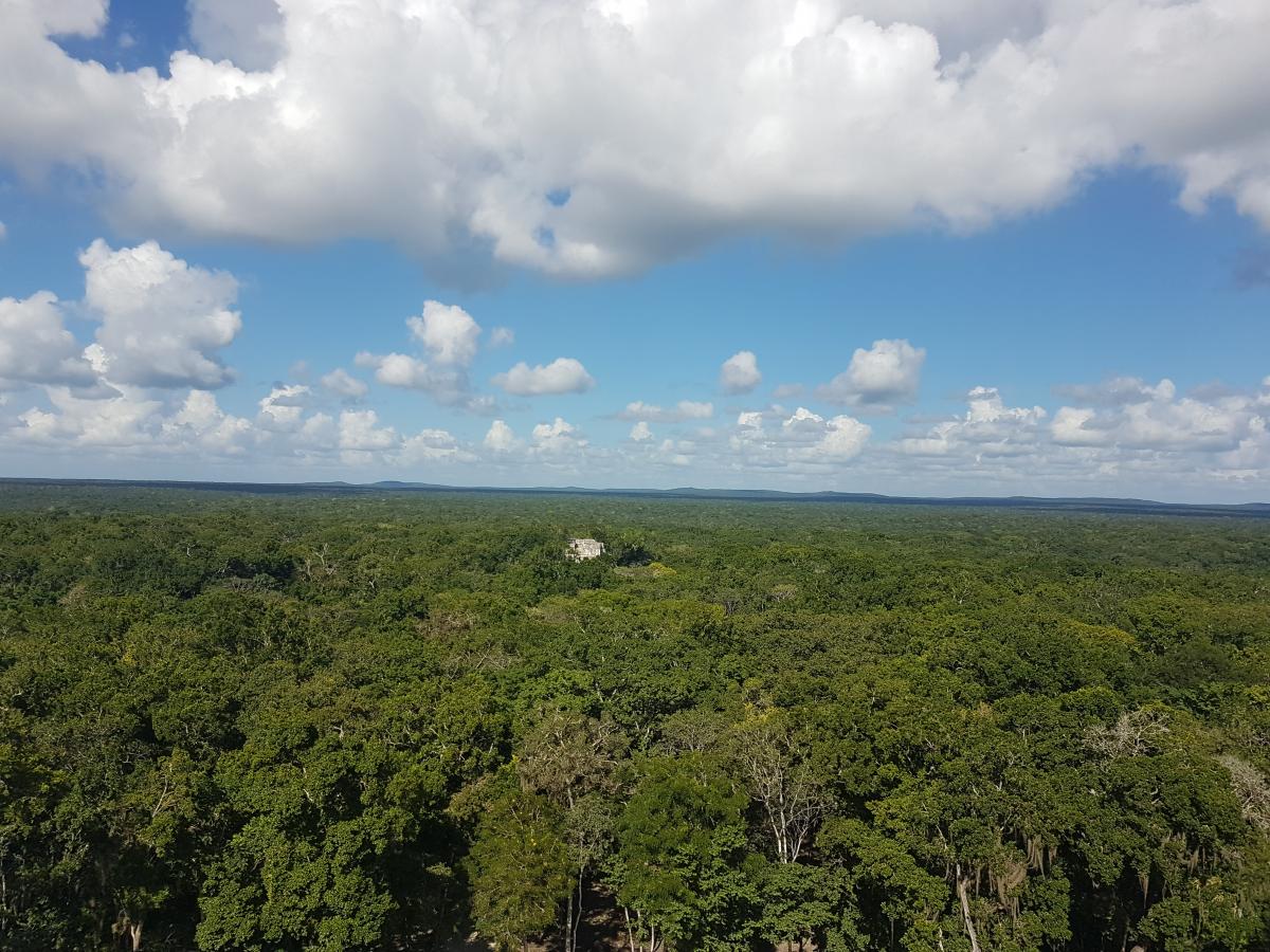 Reservas de la Biósfera de Calakmul, México