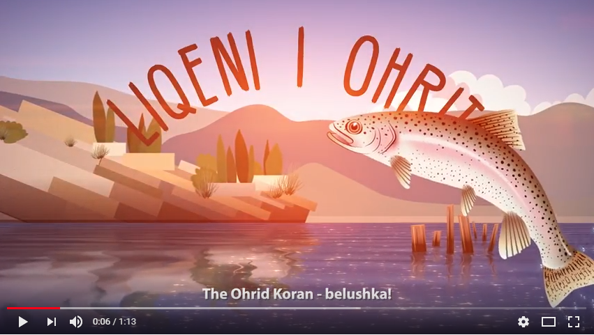 Message from the Ohrid trout
