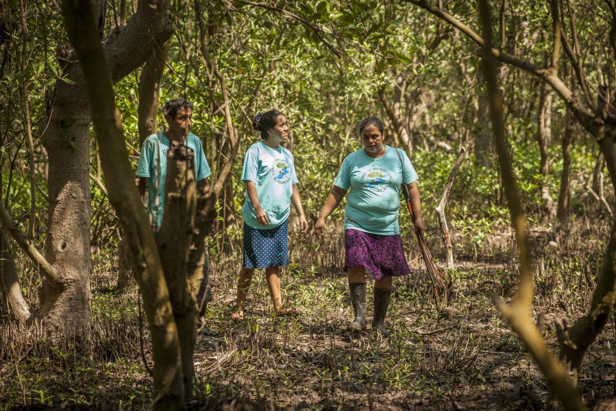 María Magdalena Del Cid Torres implementa medidas de Adaptación basada en Ecosistemas (AbE) junto a su comunidad en el manglar de la parte baja de la cuenca del río Paz, ElSalvador