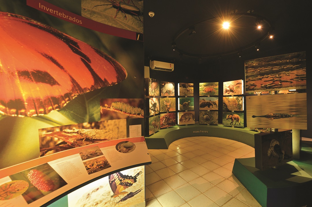 Environment interpretation center
