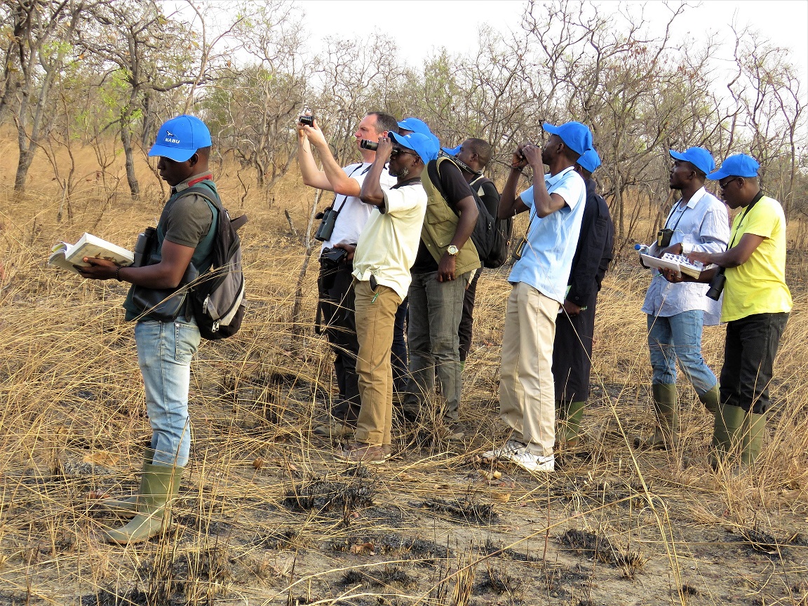 Formation identification des oiseaux, SOS Forêts, Cote d'Ivoire