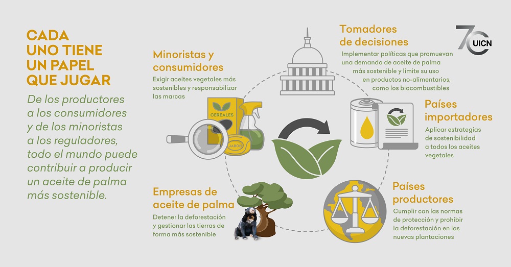 Todos podemos contribuir a producir un aceite de palma más sostenible