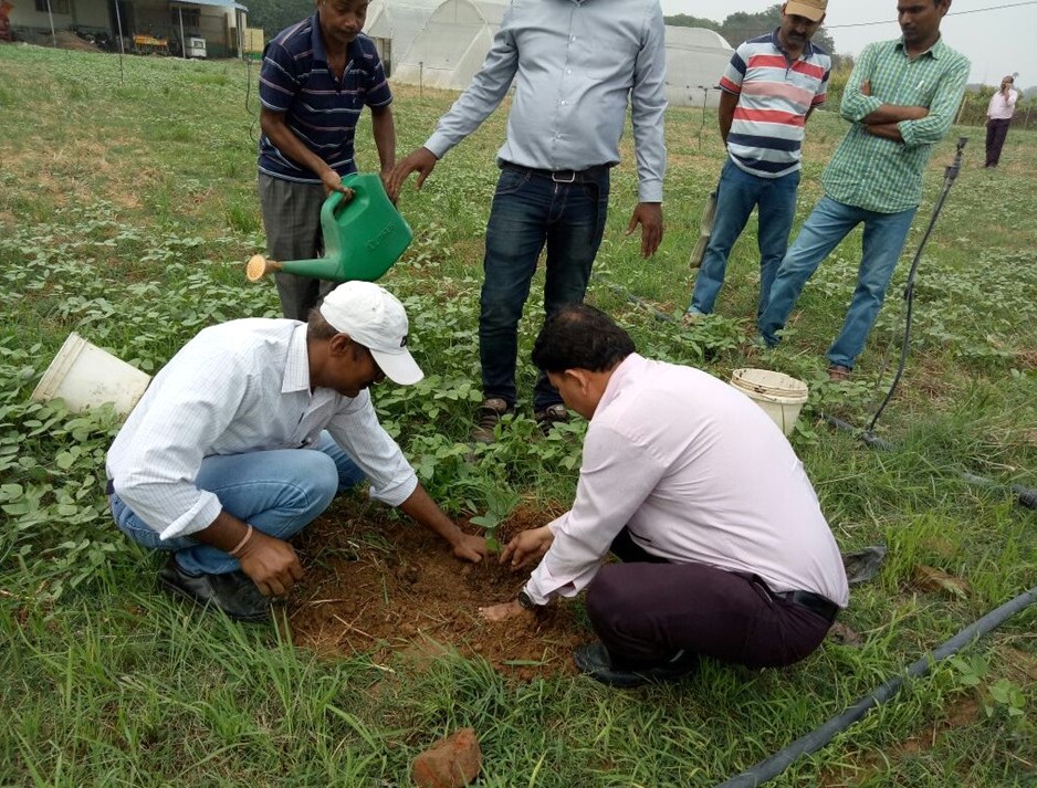 Plantation by ITC Program Officer Mr. Asgar Ali