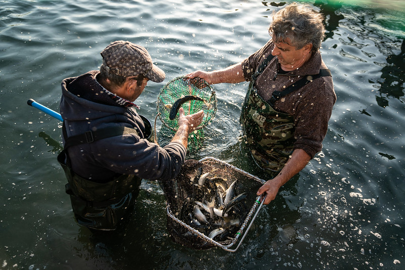 Fishers in Oristano