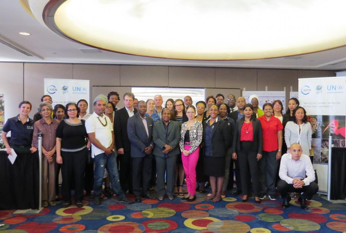 Representatives of the Caribbean ministries and countries focal points on ABS participated in the event, as along with representatives of CARICOM, and GIZ-ABS initiative.