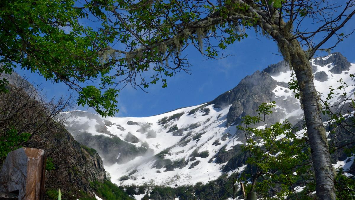 Valle de Las Trancas, Reserva de Biósfera Corredor Biológico Nevados del Chillan – Laguna del Laja 