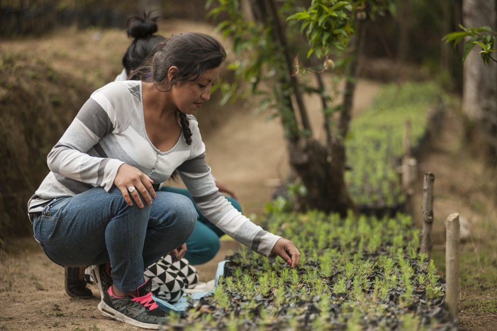 Primer proyecto de adaptación aprobado por el Fondo Verde para el clima en Centroamérica se implementará en el Altiplano de Guatemala