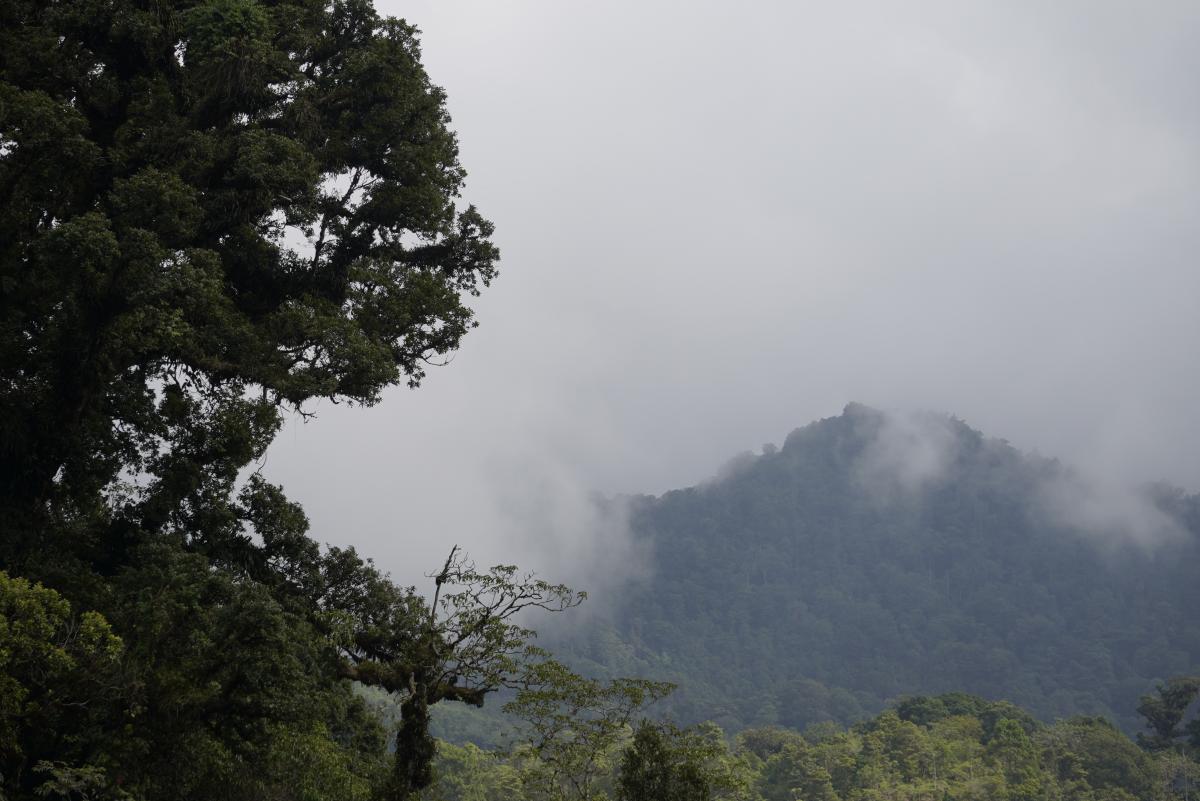 El proyecto Conecta+/UICN marca un antes y un después en la visión holística del manejo y gobernanza de las áreas protegidas en Honduras bajo el enfoque de Paisajes Productivos
