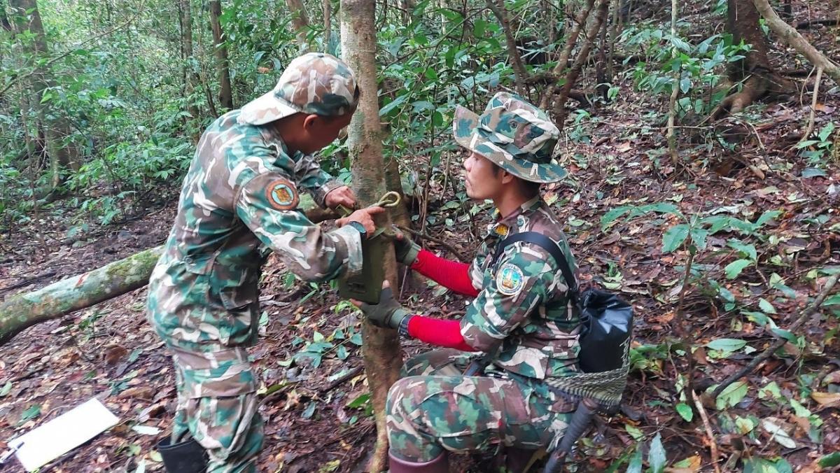 Camera trap installation mission, Set 1 at Khao Kiew – Khao Yai Forest, Thailand