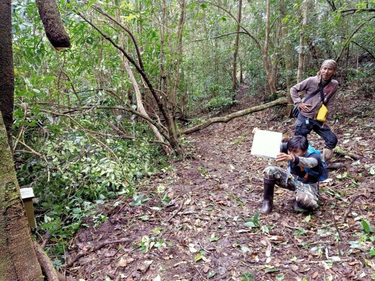  Camera trap installation mission, Set 1 in Khao Kiew – Khao Yai Forest, Thailand