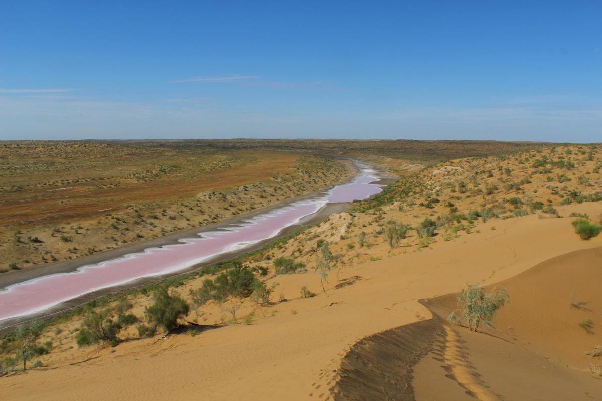 Karakum sand desert, Turkmenistan 