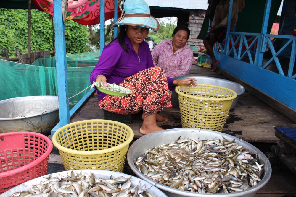 Communities at Boeng Chhmar Ramsar Site depend on wetlands for fisheries 