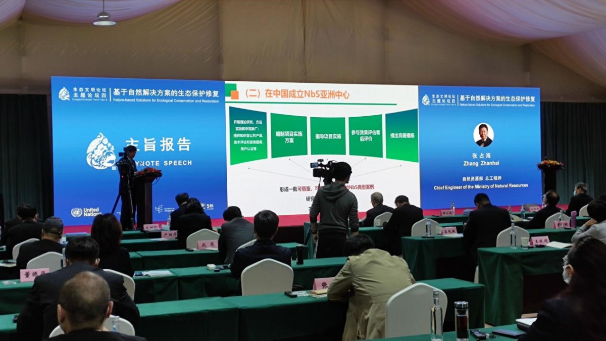 Nature-based Solutions highlighted at China Forum