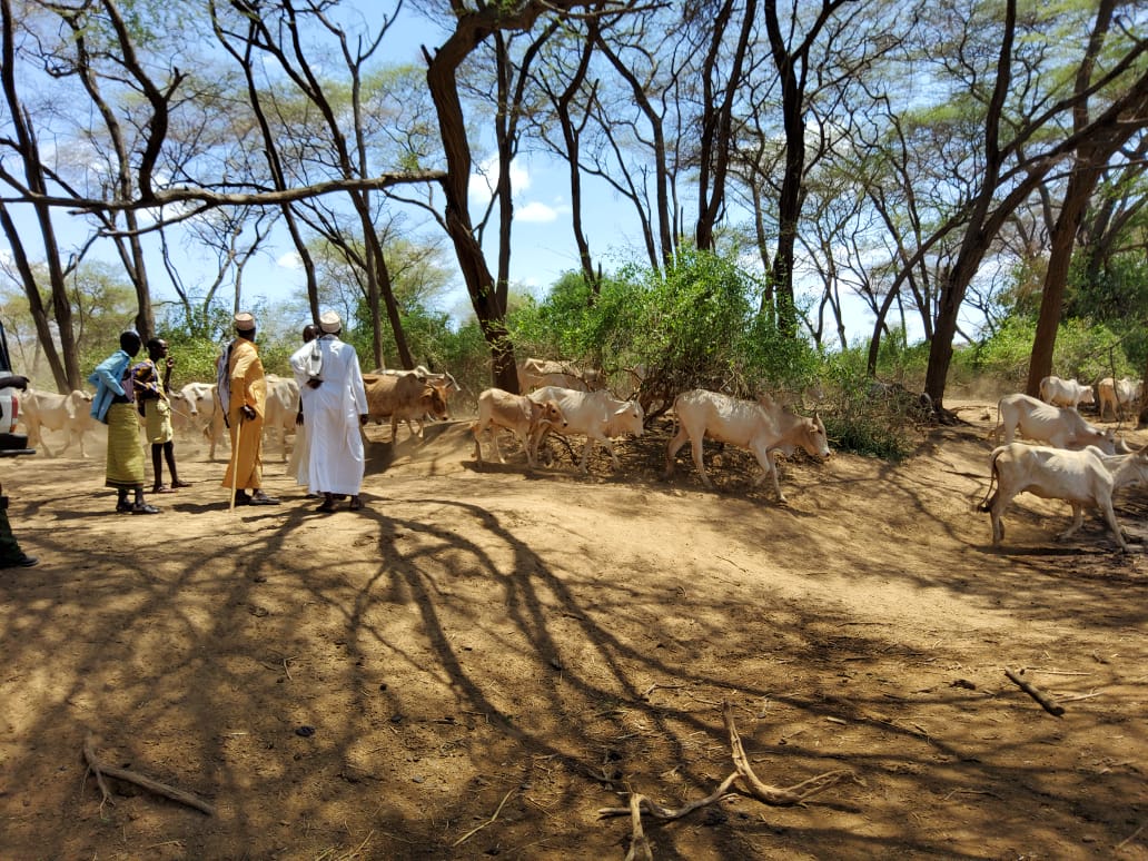 Pastrolists in Nothern Kenya