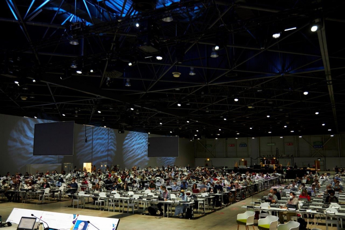 IUCN Members voting at the World Conservation Congress