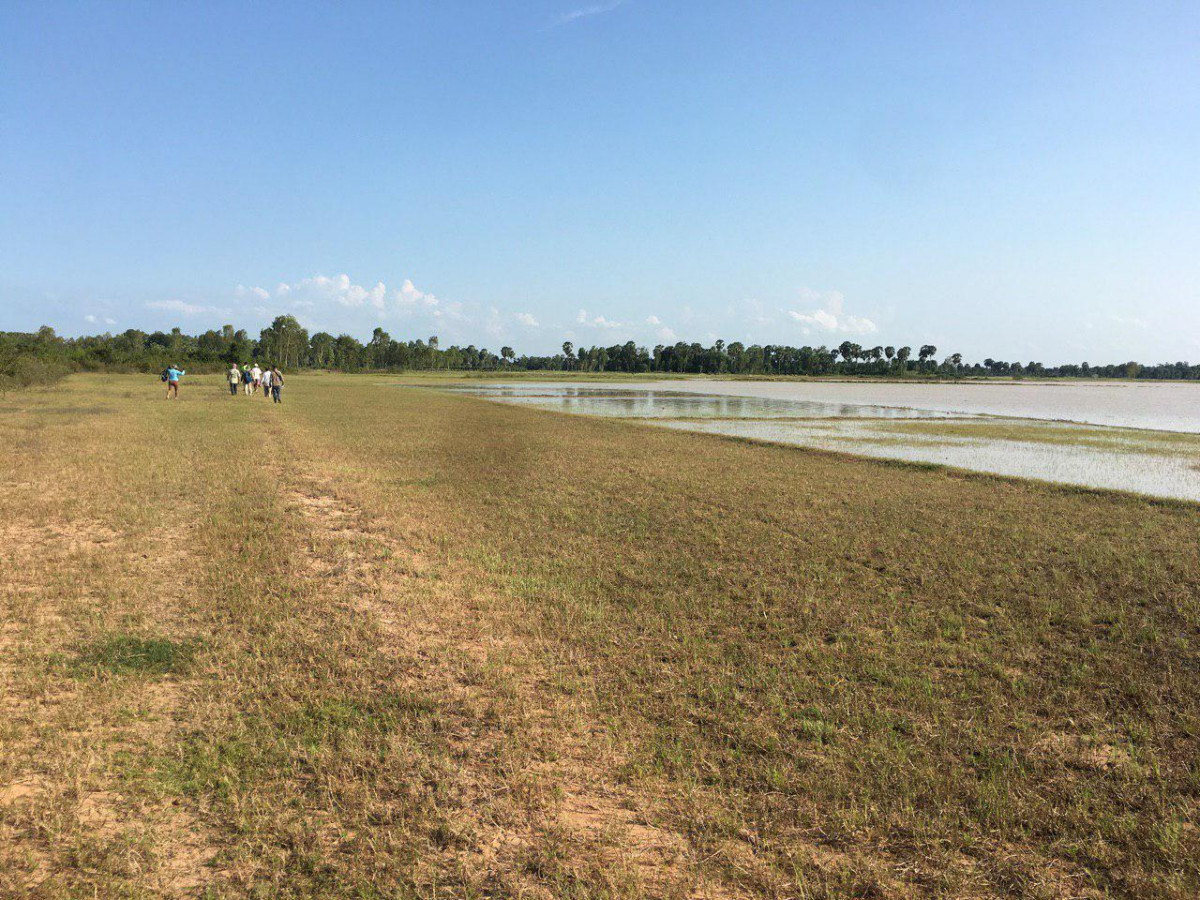 Seasonal grassland and flooded forest areas in Boeung Snae MUA 
