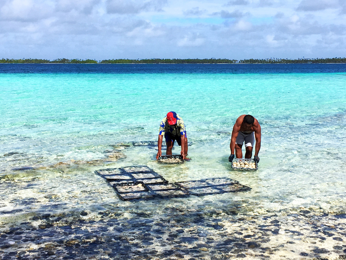 Polynesia - preparation for giant clam expedition