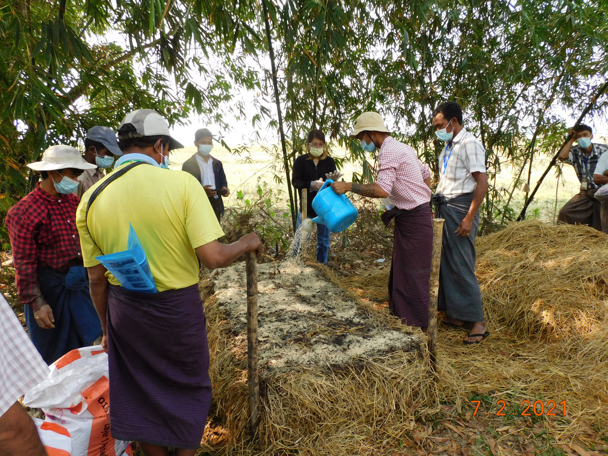Practical training on making EM-Bokashi Organic Compost