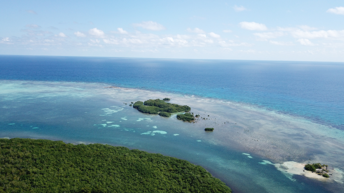 Turneffe atoll mangrove and reef juxtaposition, Belize