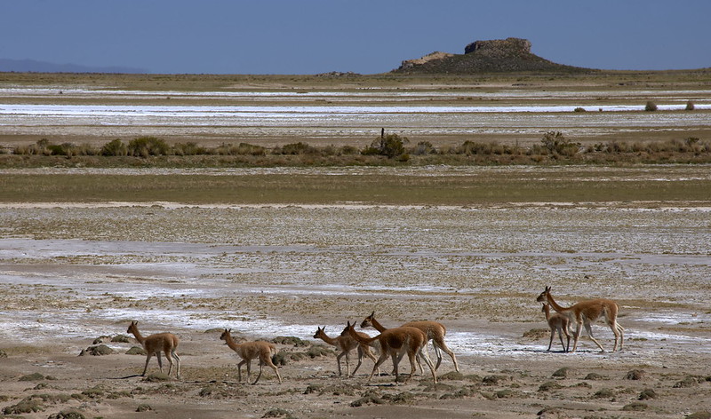 Proyecto El clima cambia, cambia tú también