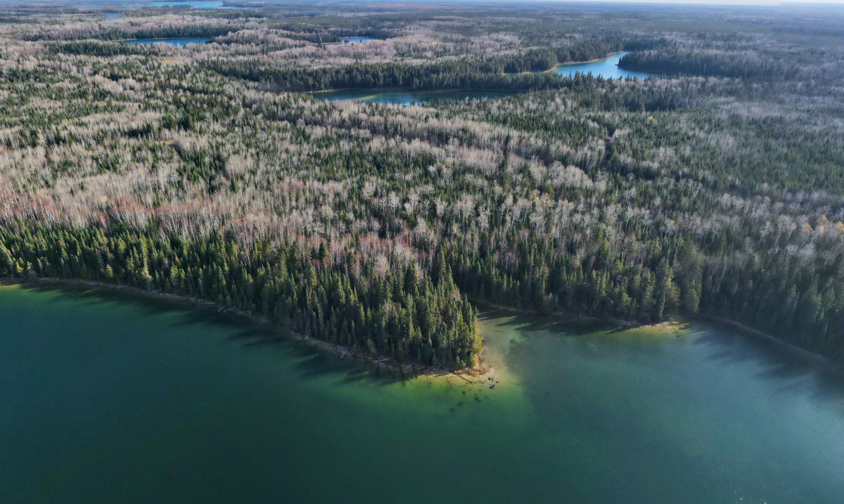 Boreal Wildlands, Ontario, Canada