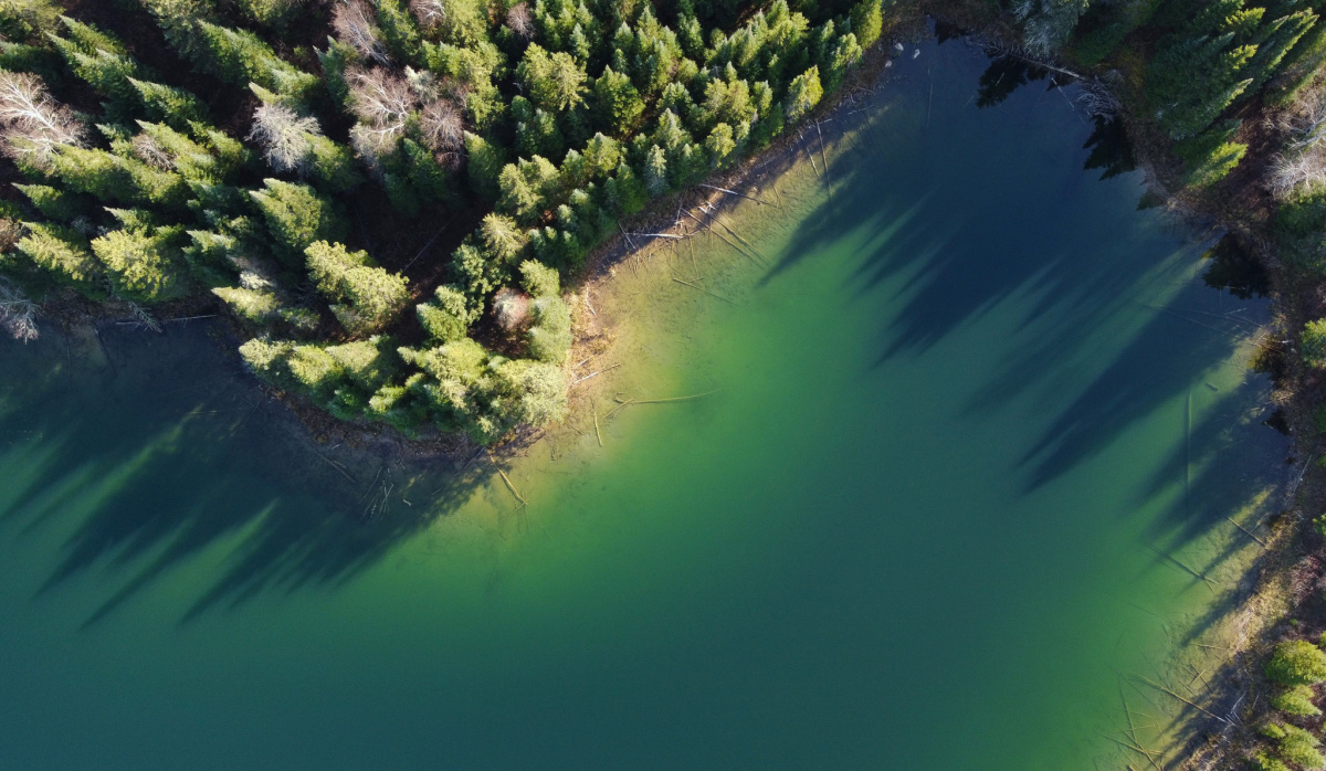 Boreal Wildlands, Ontario, Canada